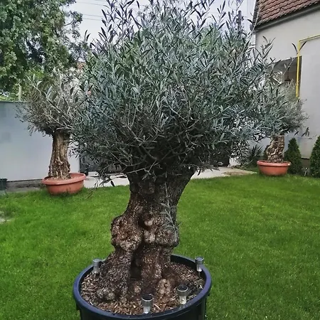 Infinity Apartamento Novi Sad