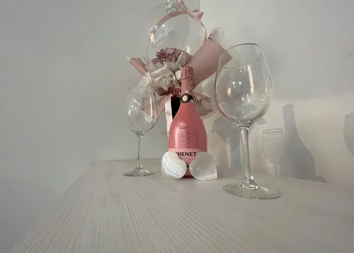 Infinity 노비사드