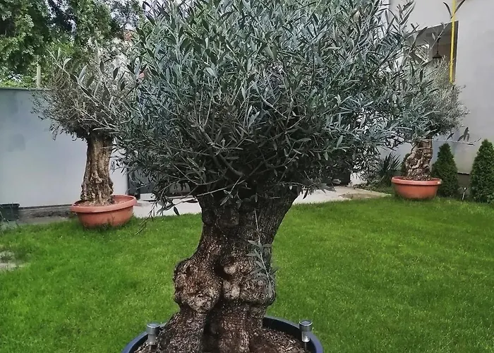 Infinity 아파트 노비사드