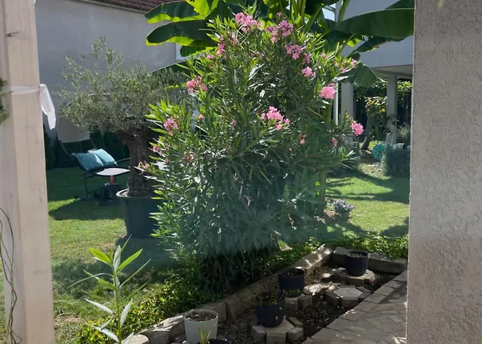 아파트 Infinity 노비사드