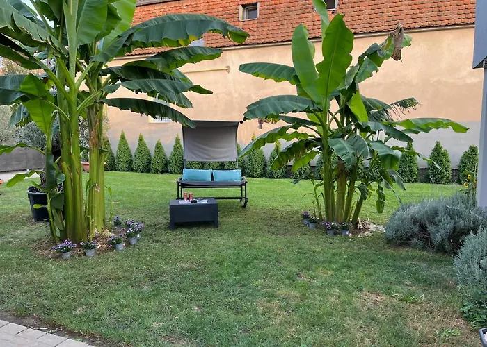 Infinity 노비사드